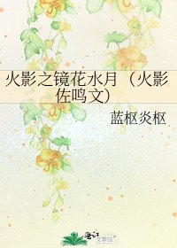 火影之鏡花水月(火影佐鳴文)