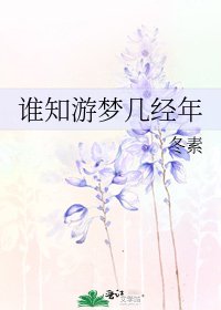 誰知遊夢幾經年
