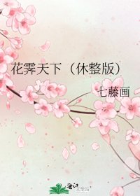 花霁天下（休整版）